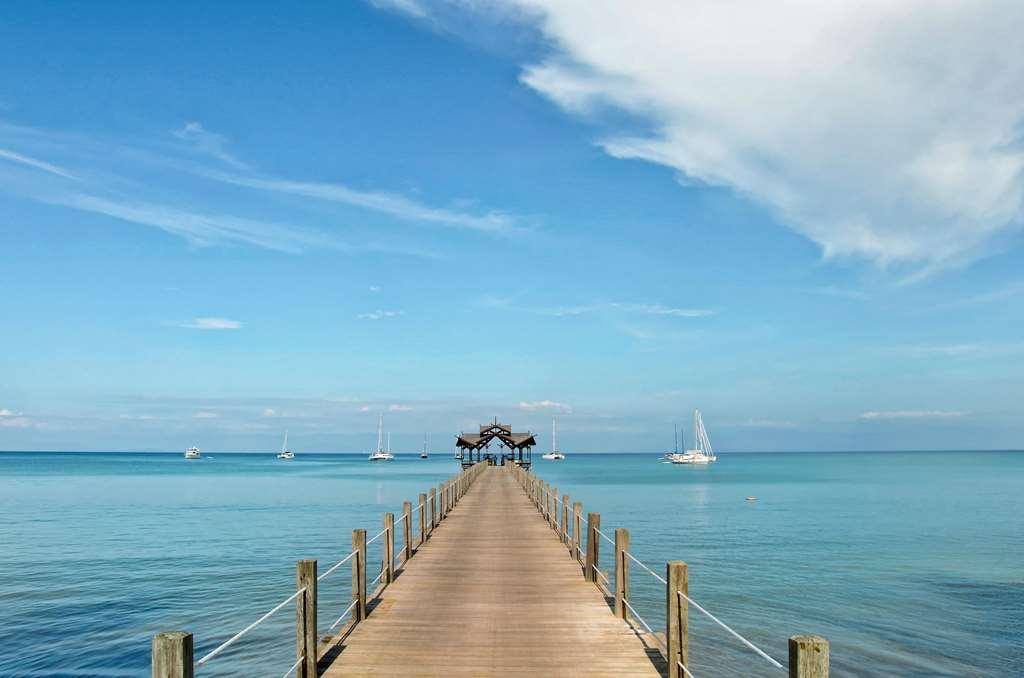 Borneo Eagle Resort Kota Kinabalu Nature photo